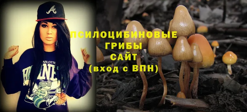 Галлюциногенные грибы MAGIC MUSHROOMS  дарнет шоп  Михайловск 